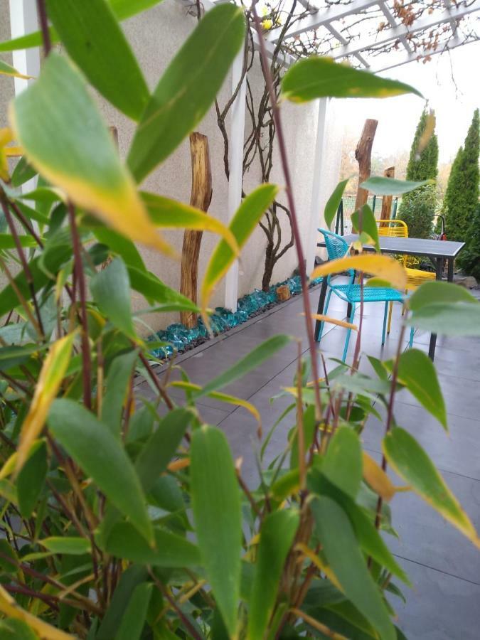 Art & Nature Apartments In Der Naehe Ffm-Messe Bad Vilbel Bagian luar foto
