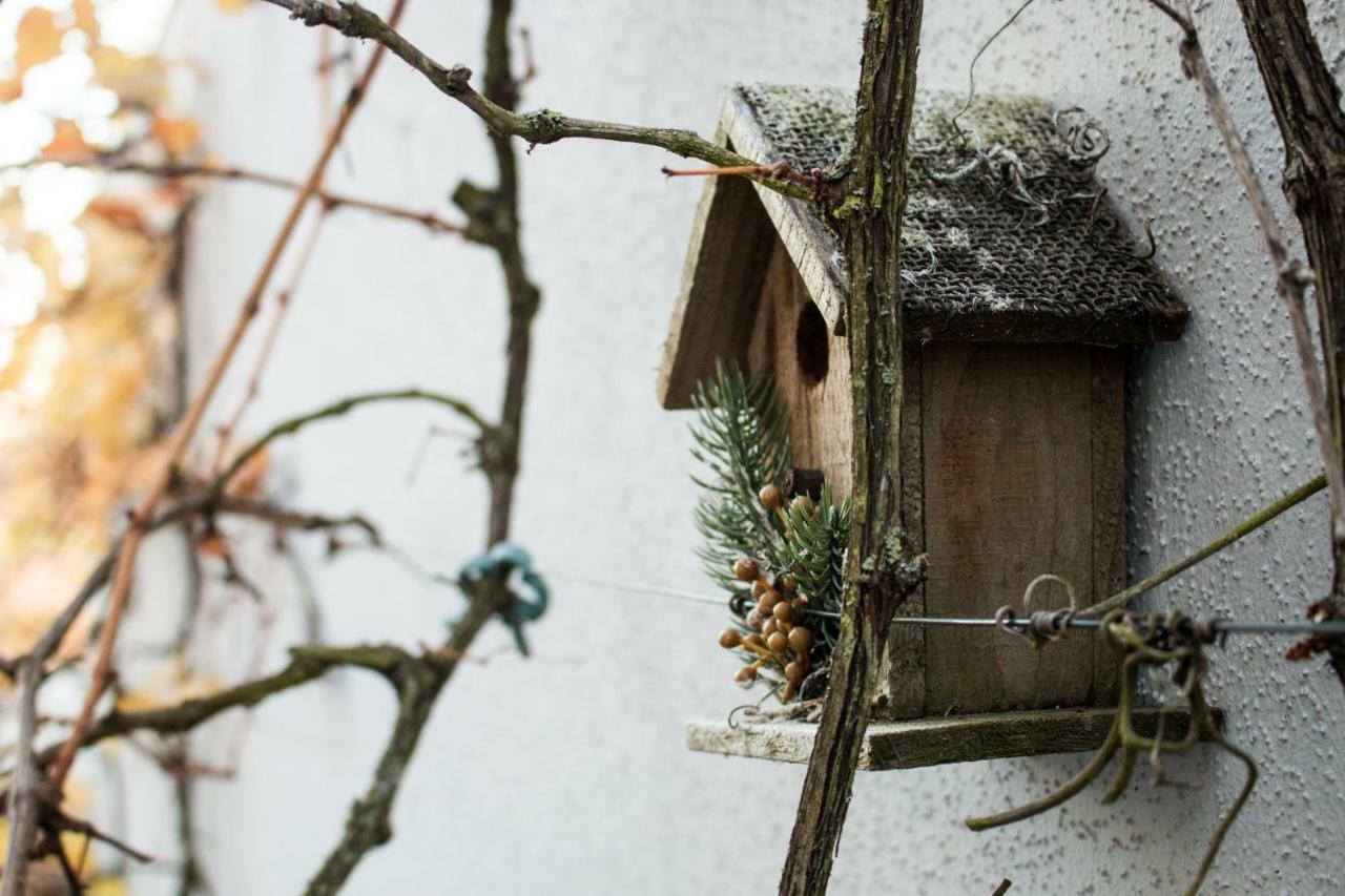 Art & Nature Apartments In Der Naehe Ffm-Messe Bad Vilbel Bagian luar foto